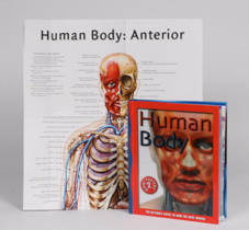 human body book